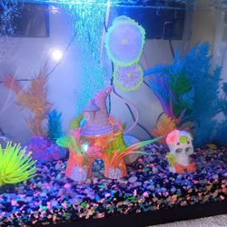 Glo Fish Tank 