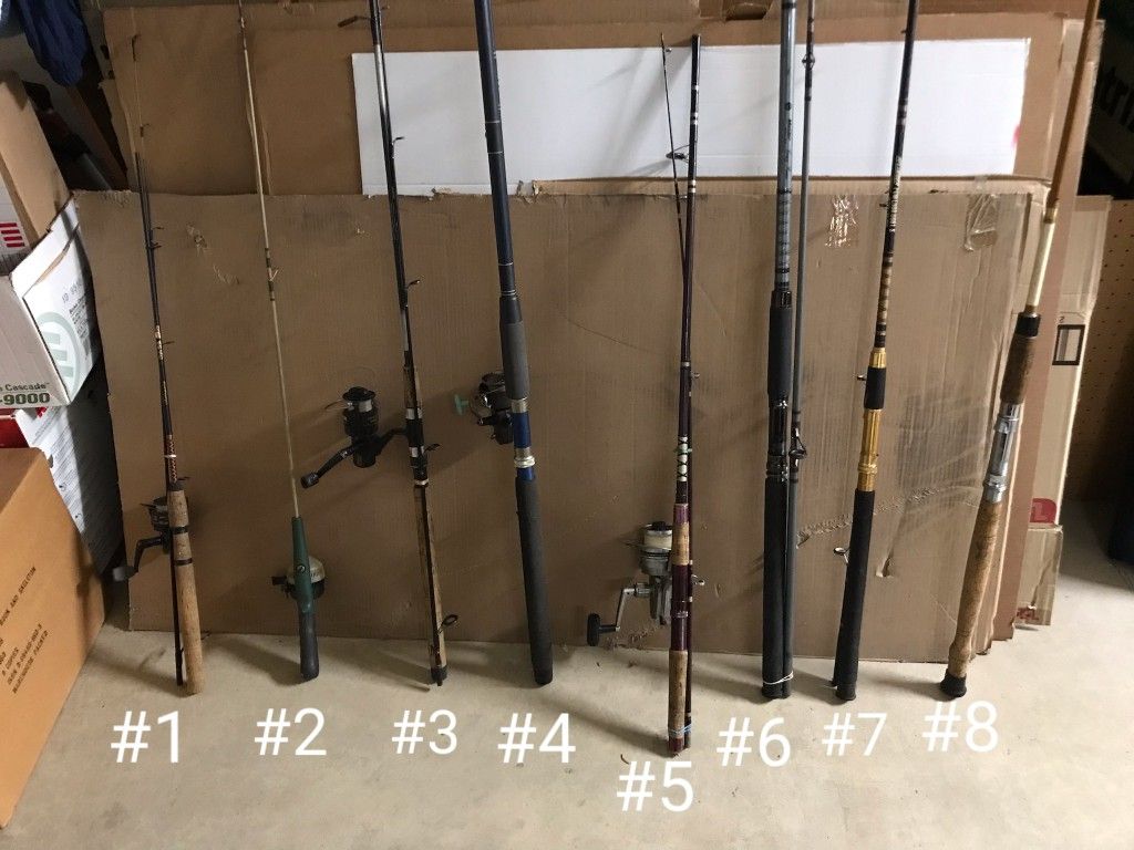 Fishing Rods and Reels