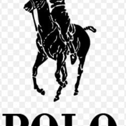 Polo Ralph Lauren Shirts Size 3xb And 2xlt Big N Tall