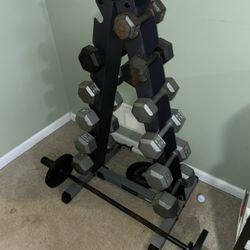 Weights 