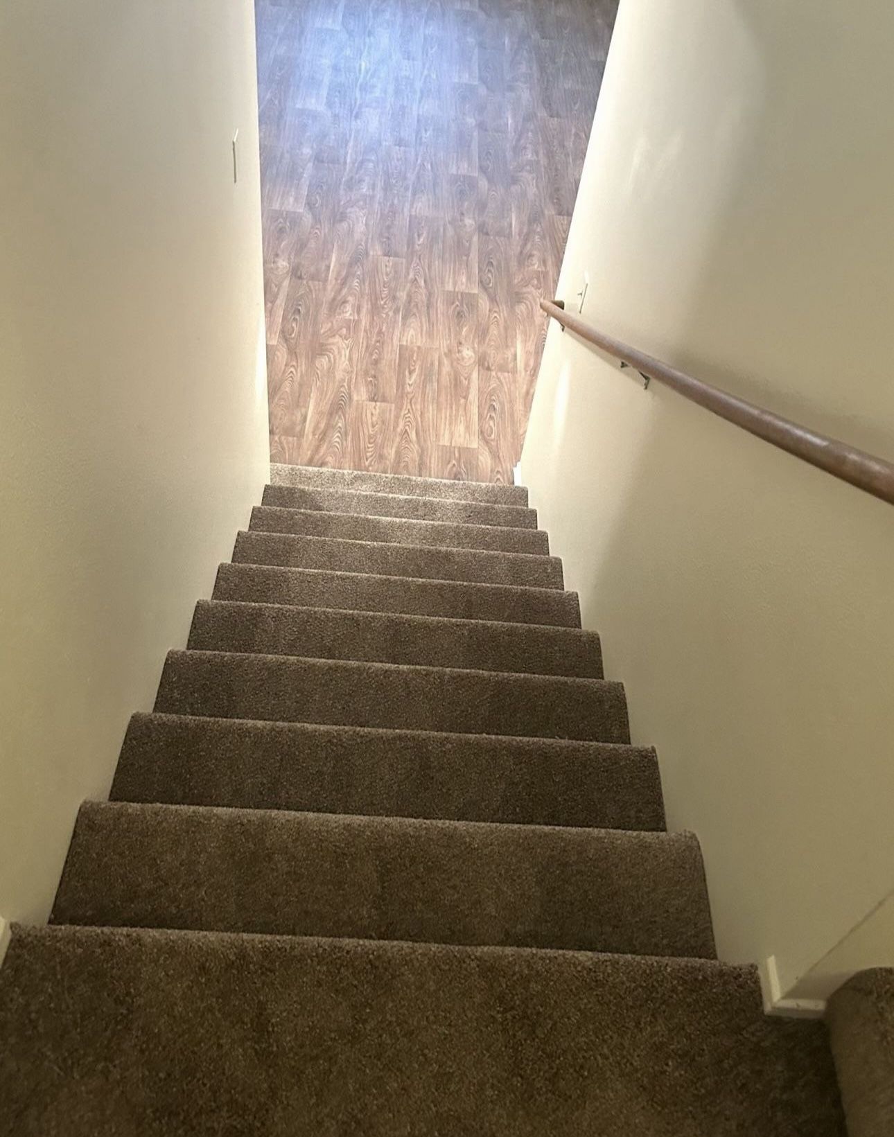 Carpet
