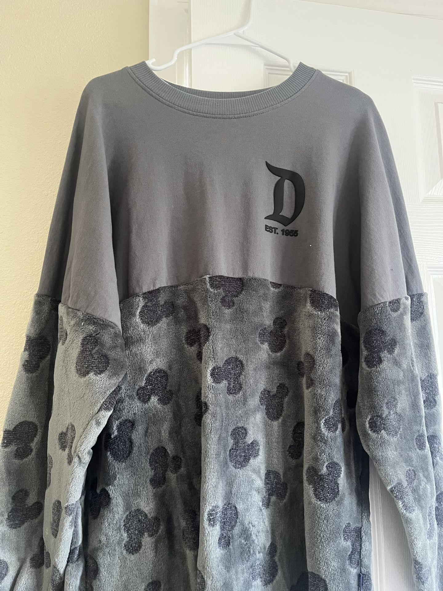 Disney Spirit Jersey