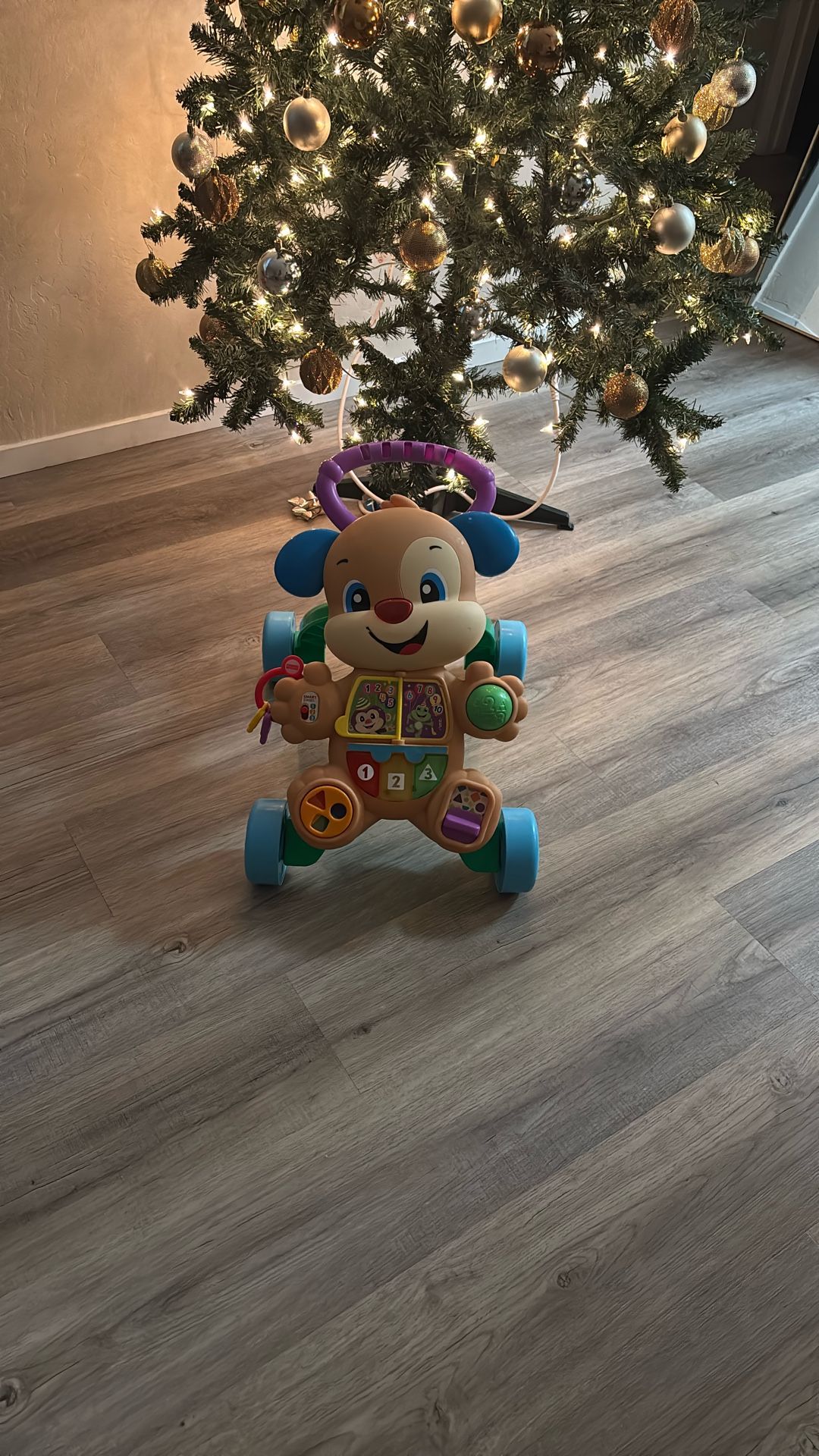 Baby Walker Dog Toy