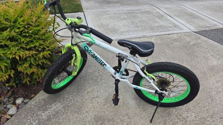 free boy bike 18"