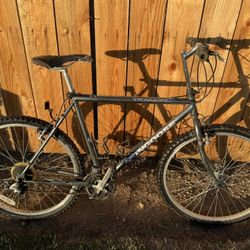 Vintage Mongoose Mountain Bike