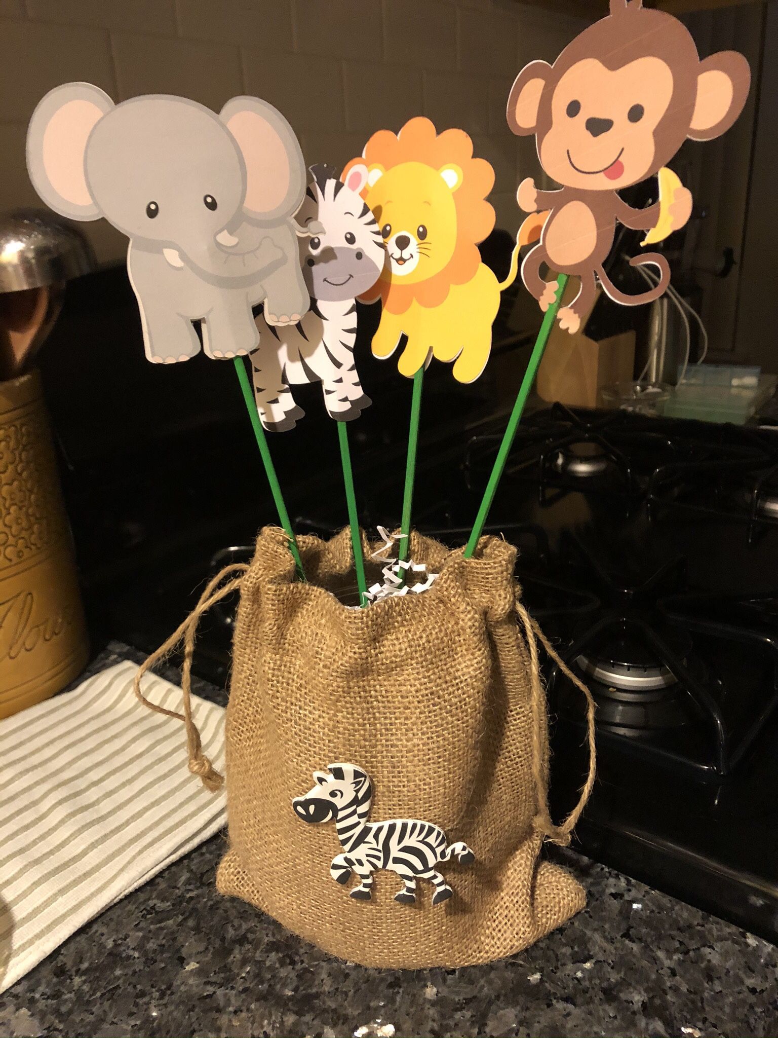 Safari Theme Party Supplies