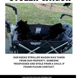 Stolen Wagon