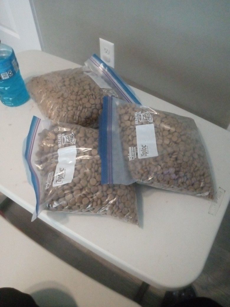 (( ADULT DOG FOOD ))