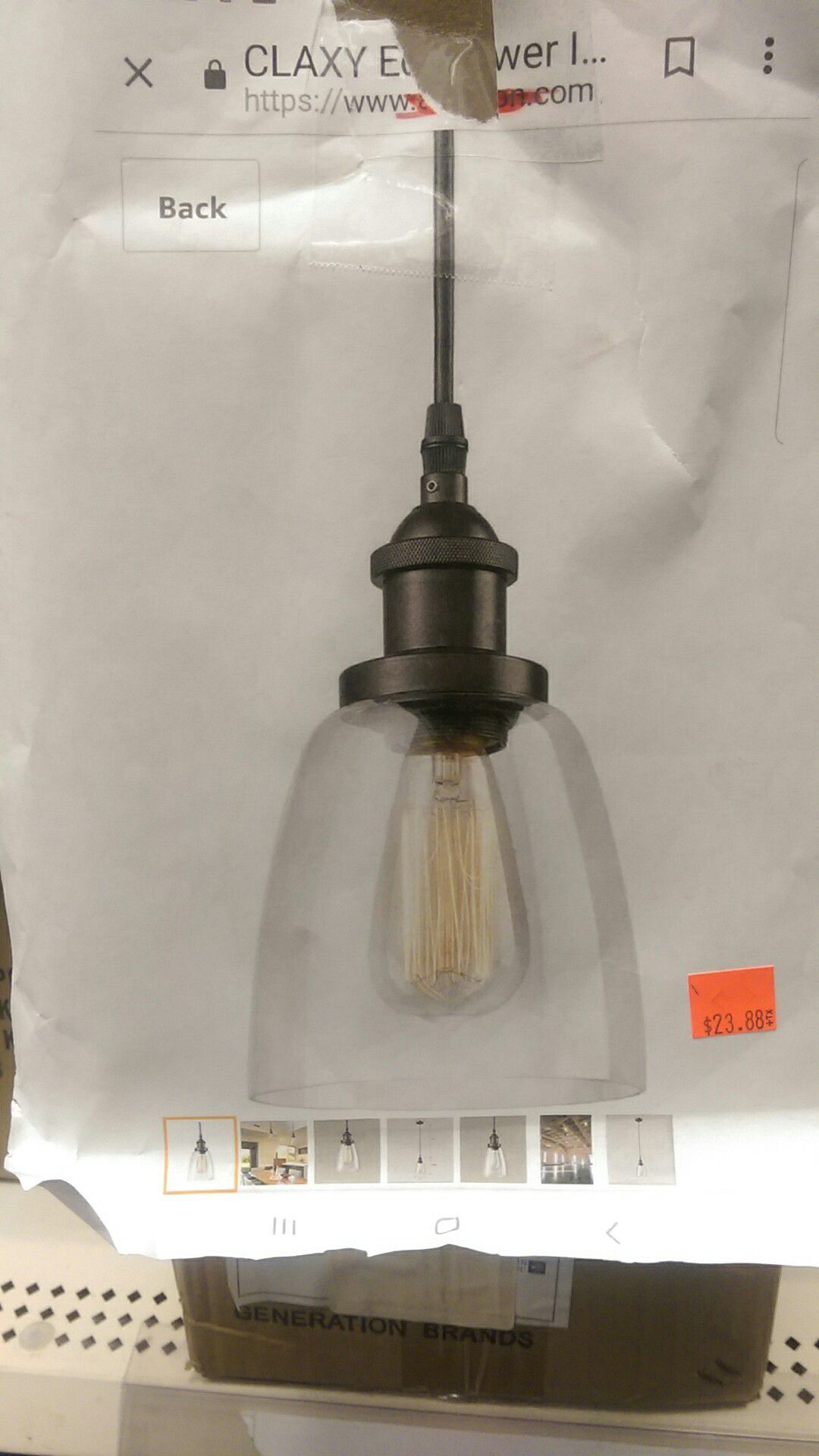Hanging light fixture Edison bulb