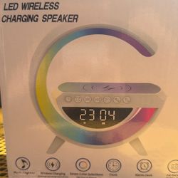 Mini LED Charging Speaker 