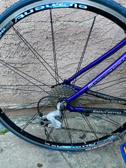 Fuji bike