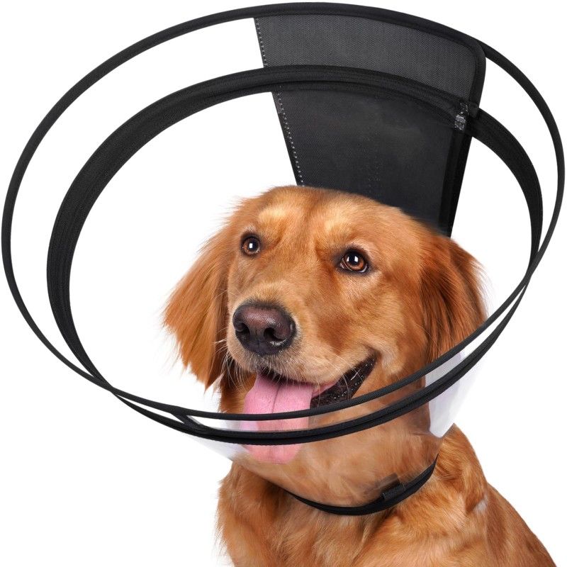 DOG CONE** I Have Many Sizes And Styles **