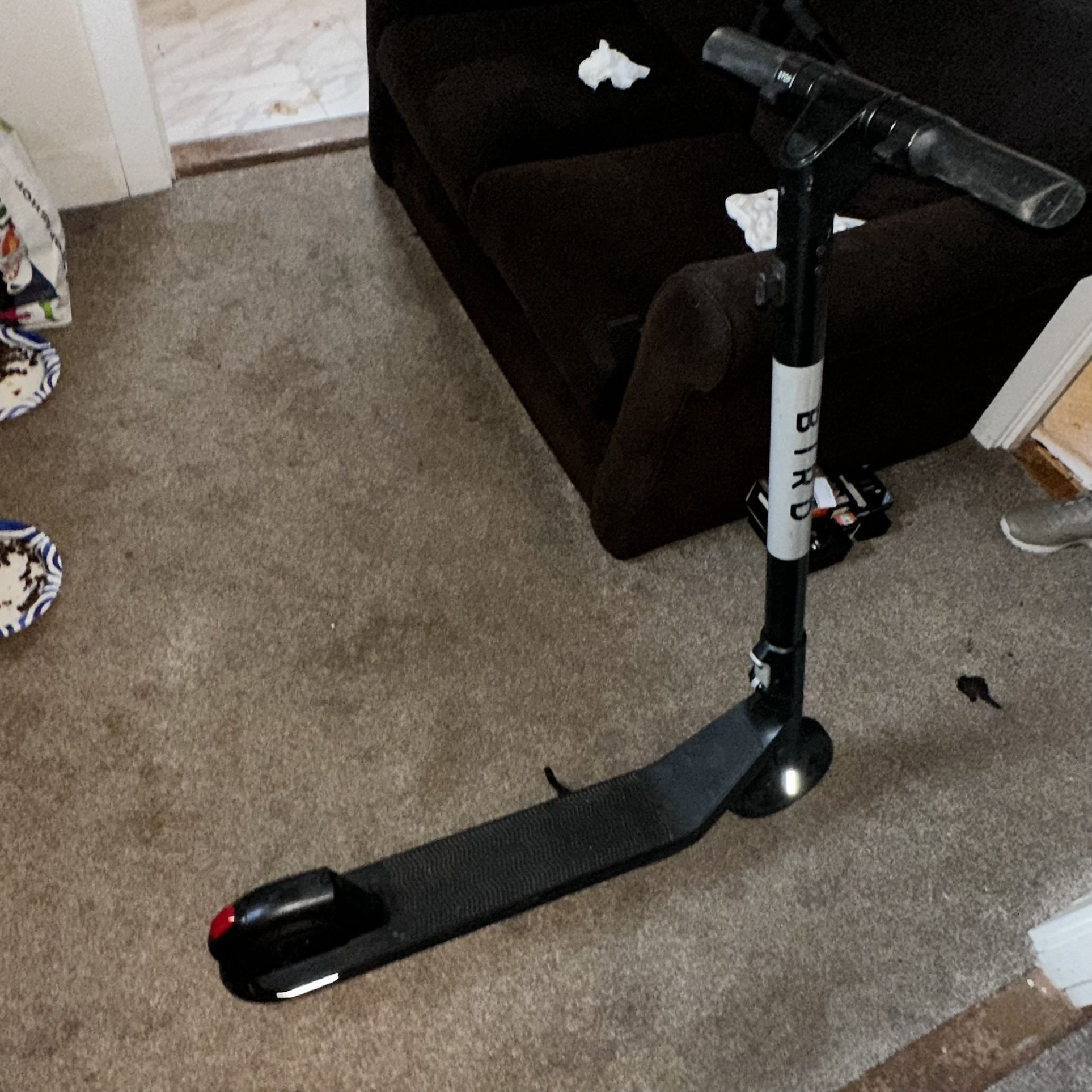 Bird Battery Powered Scooter