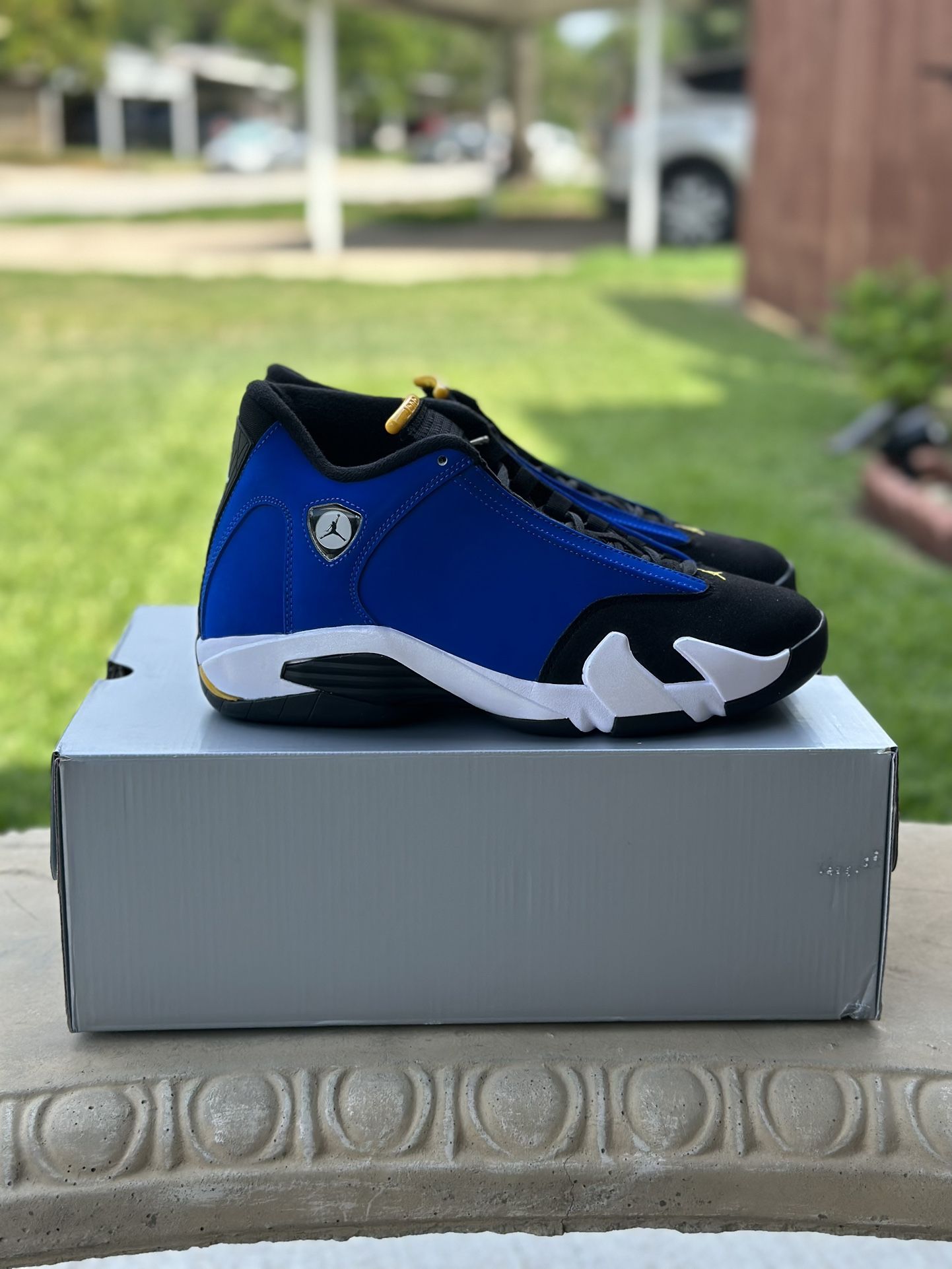 Jordan 14 Laney Size 9