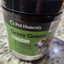 Brand New Pet Honesty Grass Green 