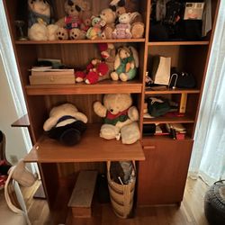 Danish Wooden Book Case 