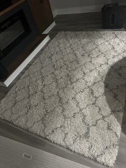 7x10 Rug