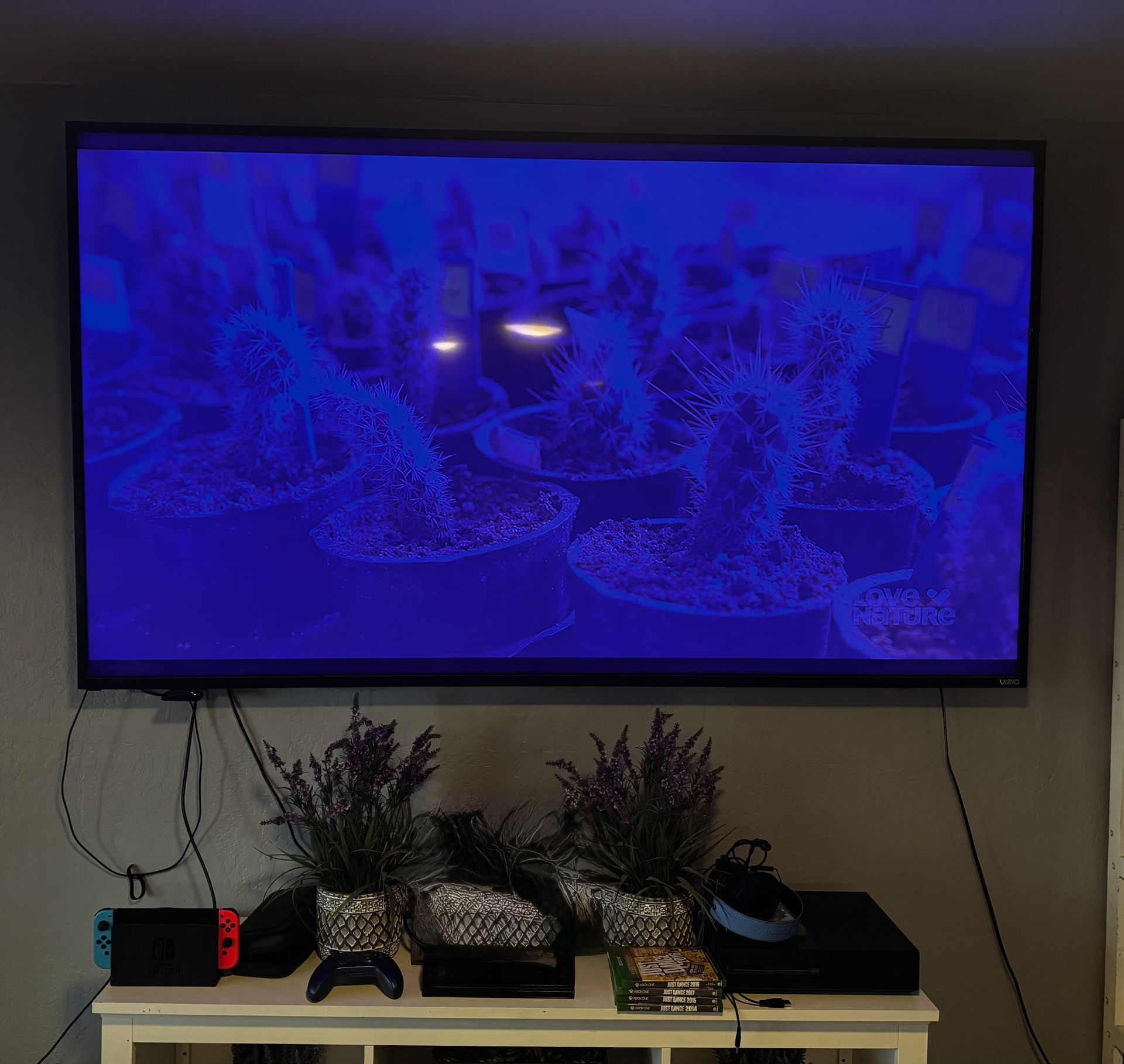 80” Vizio TV