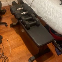 Work out bench with pair of 15 pound and 30 pound weights 