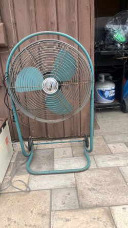 Fan
