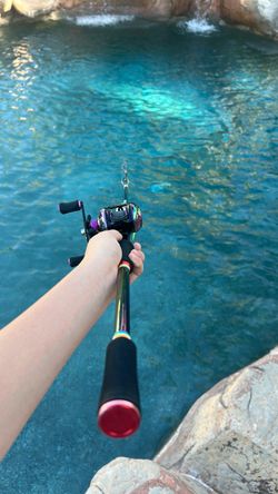 Bait caster