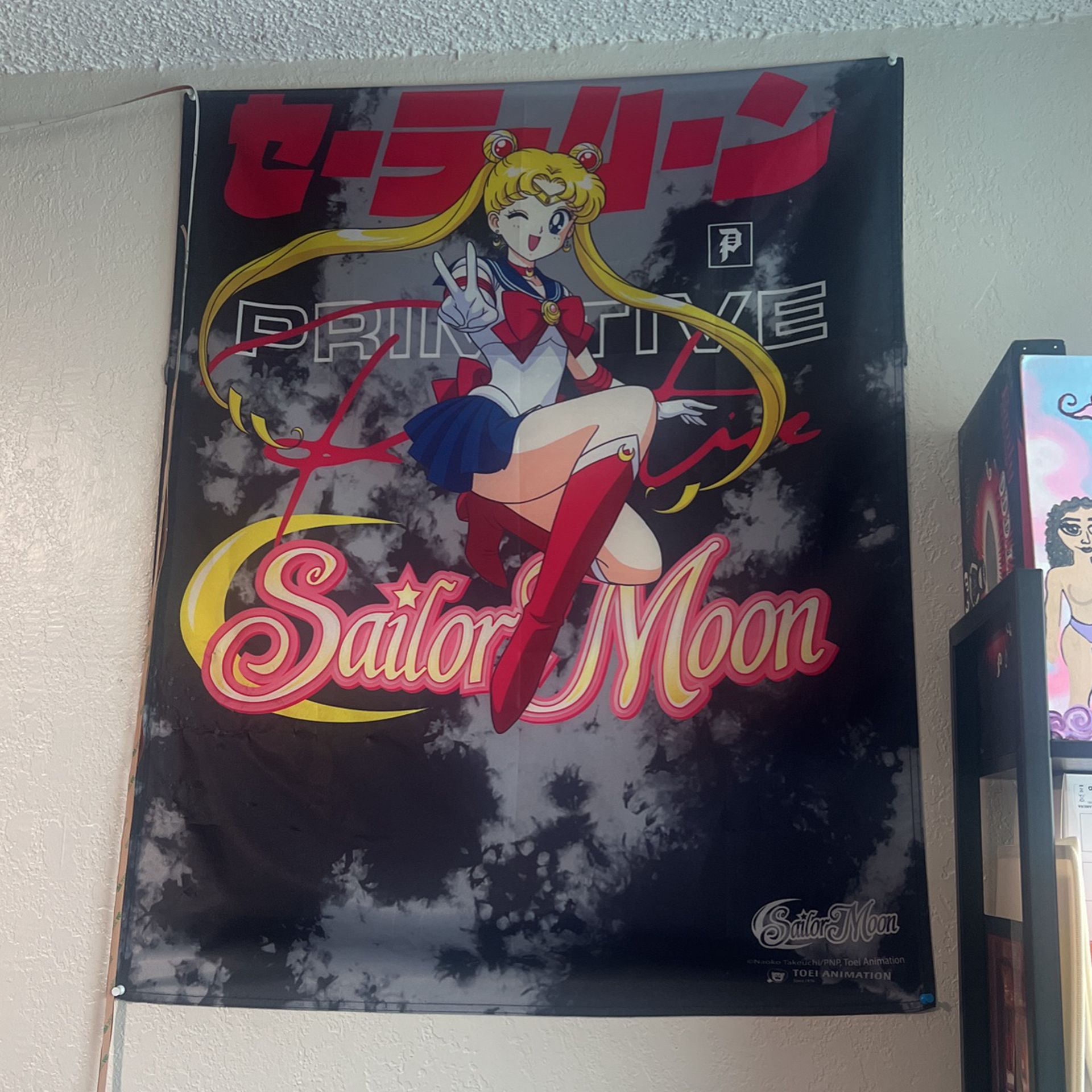 Sailor Moon & Primitive Tapestry Zumiez