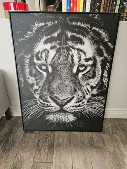 Tiger canvas