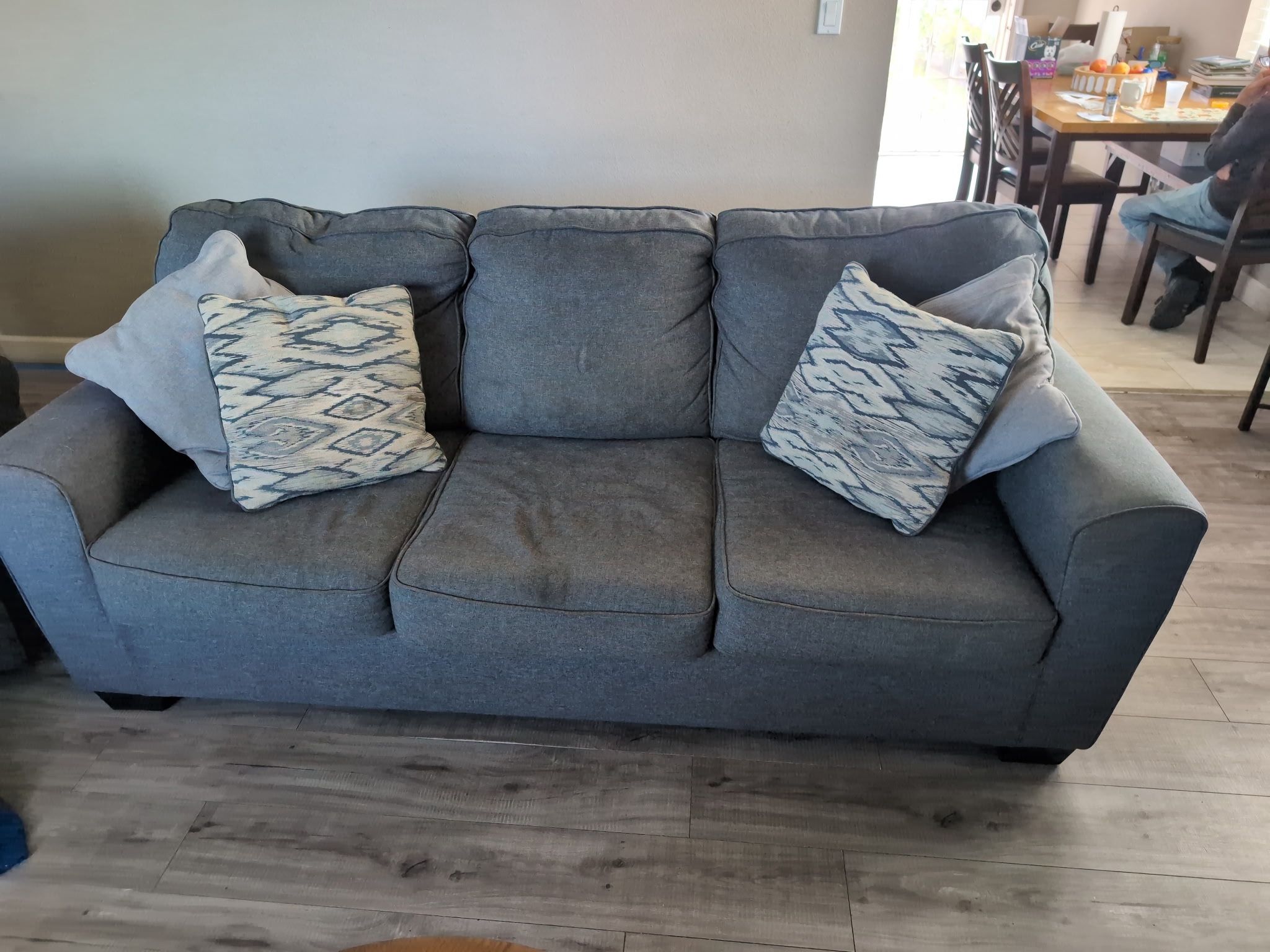 FREE sleeper Couch And Chair With Seat Cover