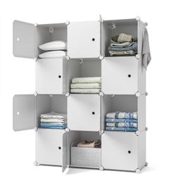 Closet Organizer, 12-Cube Storage with Doors