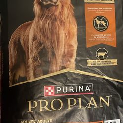 PRO PLAN PURINA