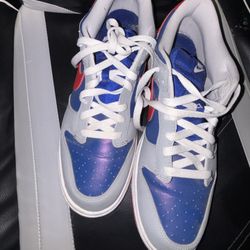 Dunks (no box Used  ) 