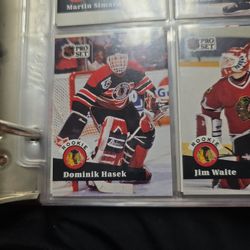 Hasek Rookie