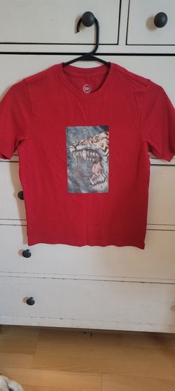 Boys Tees Lot 10/12