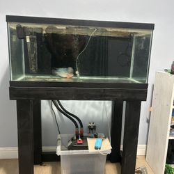 40 Gallon Breeder Tank