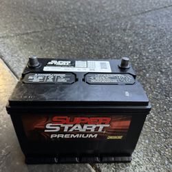 Car Battery Size 124R