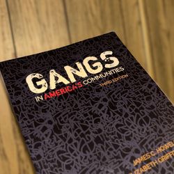 Gangs in America's Communities Third Edition Paperback
