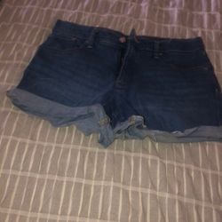 Express Ladies Shorts