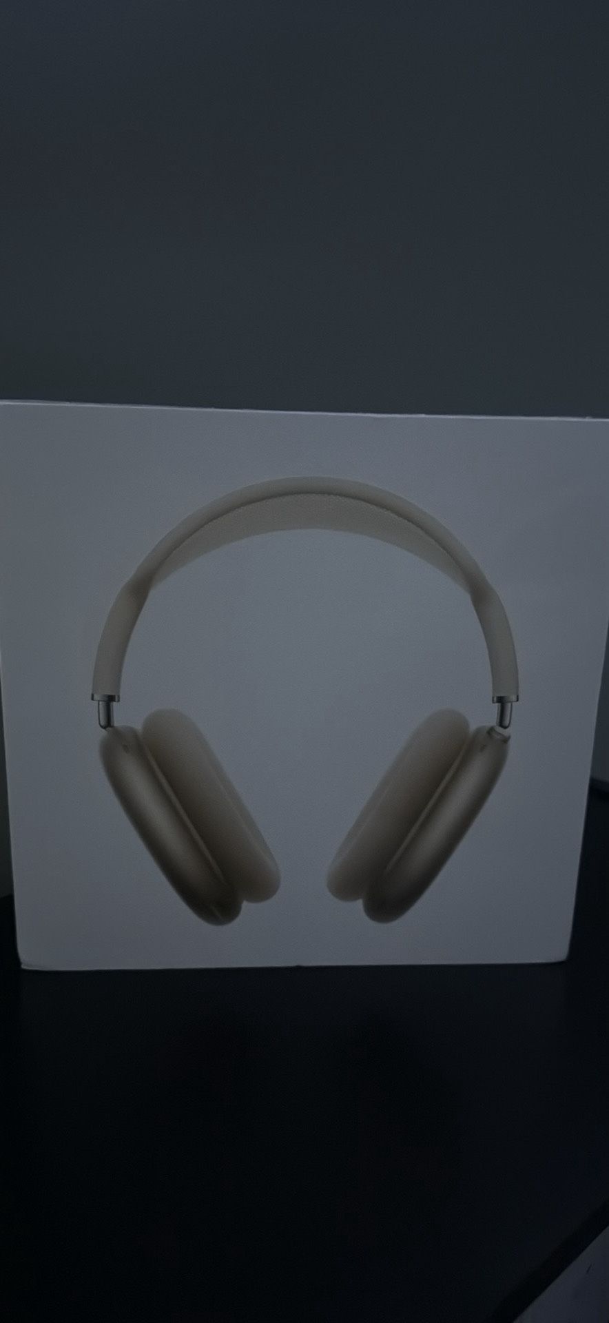AirPod Maxes