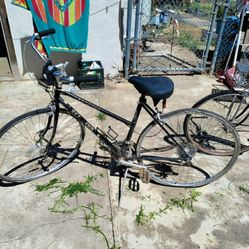  Schwinn cruiser