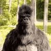 Dan 