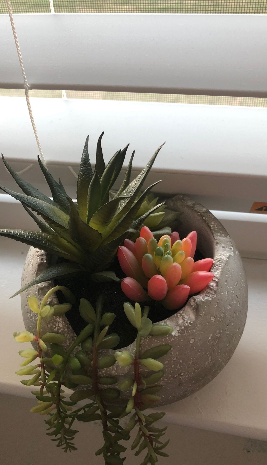 Fake succulent arrangement