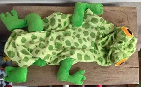 Dog Costume Fits M Frog just $5 xox