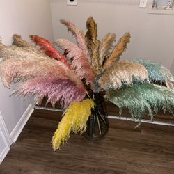 Large Pampas Plant Stems 