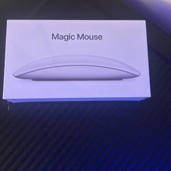 Apple Magic Mouse 