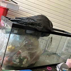 50 Gallon Fish Tank 