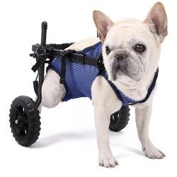 Dog Wheelchair! Size Small. Brand New!