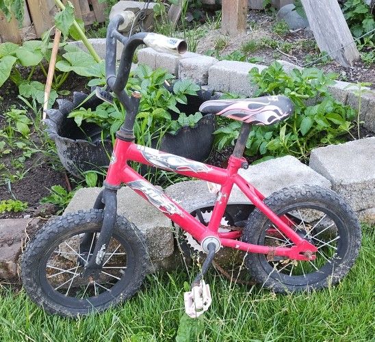 X-Small Bike