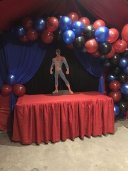 Spider-Man Party Decorations