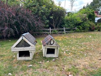 Dog house, cat house, pet house - Free!