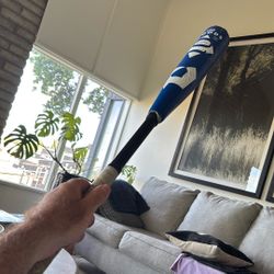 DeMarini 2023 The Goods (-10) USA Baseball Bat - 29"